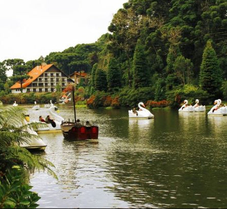 Gramado e Canela 14/06