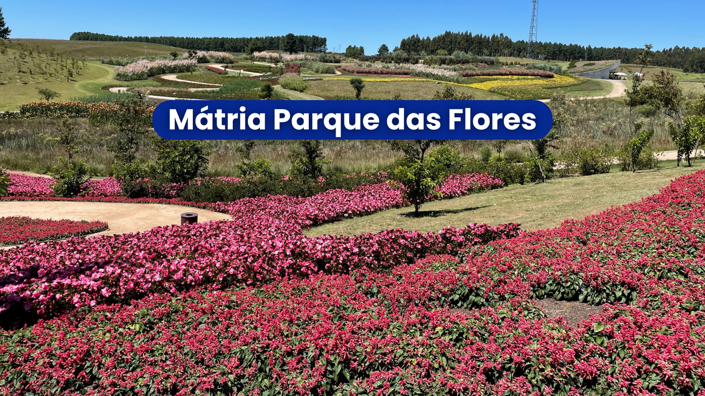 Mátria Parque de Flores 25/04