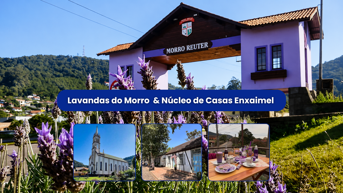 Lavandas do Morro Reuter & Núcleo de Casas Enxaimel 16/08