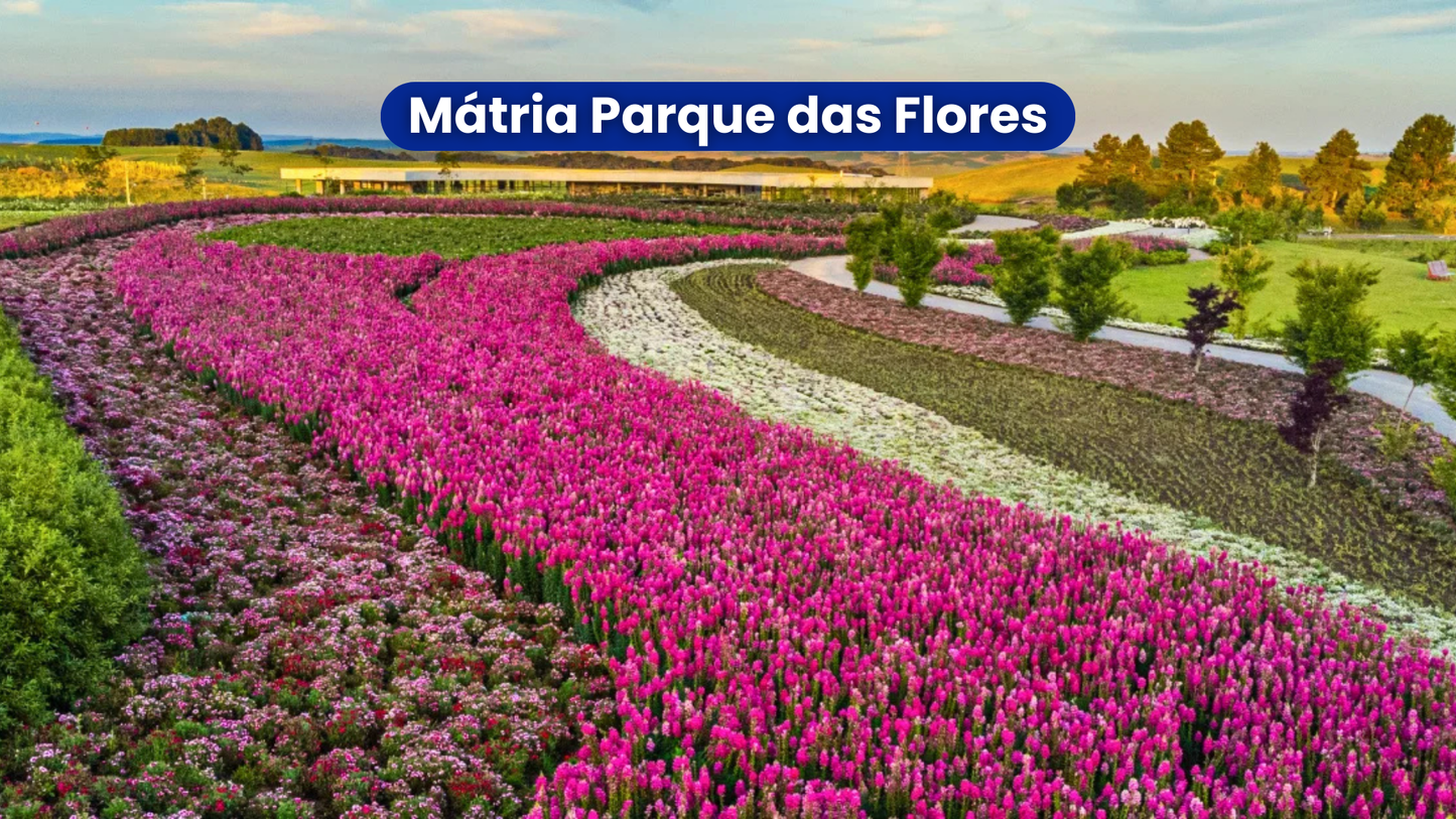 Mátria Parque das Flores