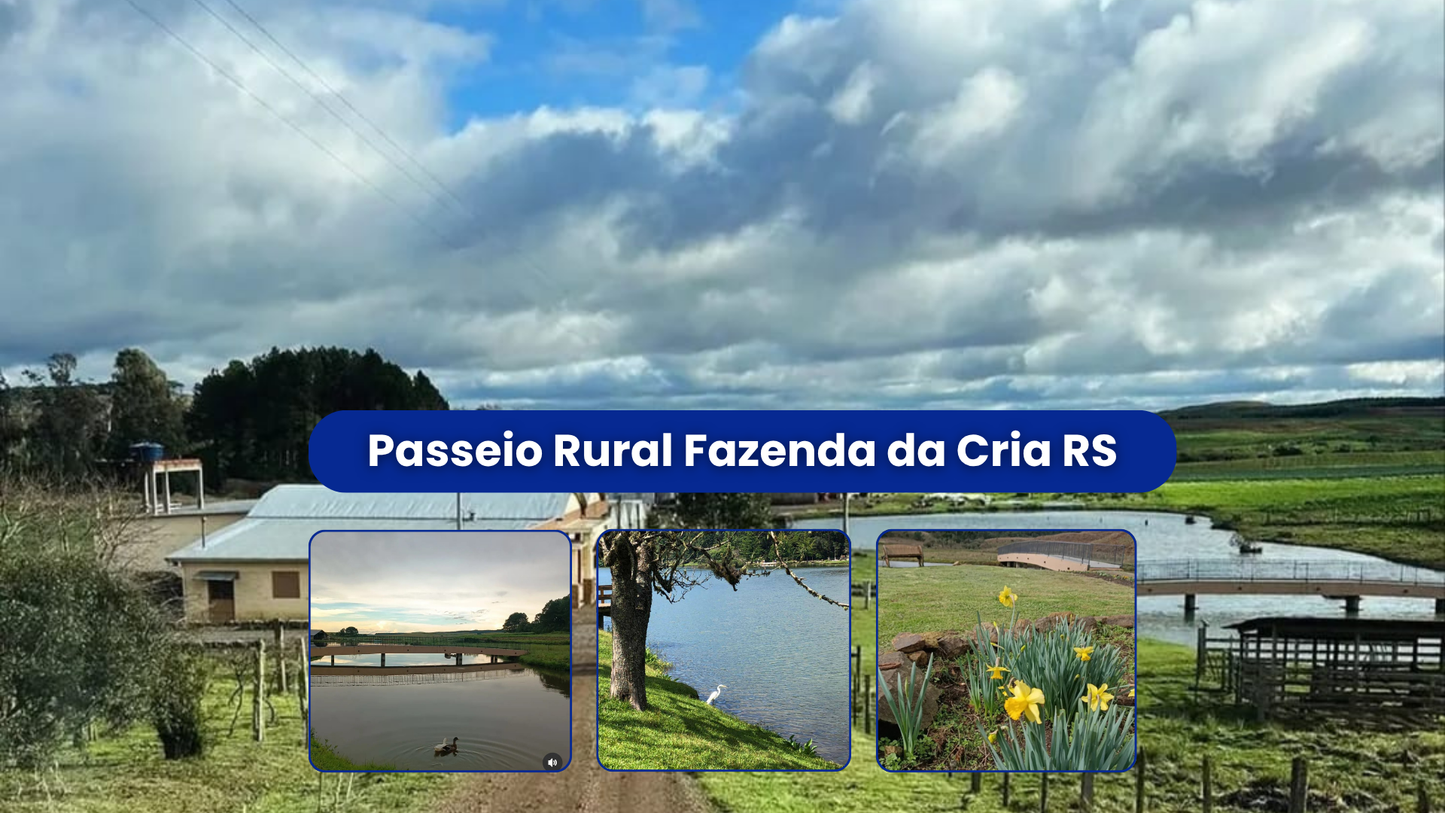 Passeio Rural Fazenda da Cria RS 02/08