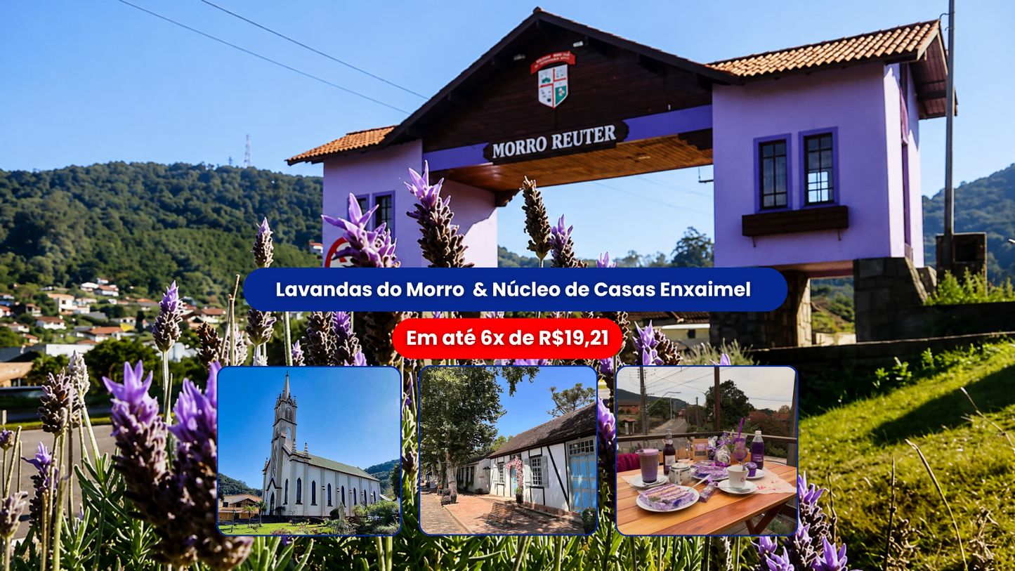 Lavandas do Morro Reuter & Núcleo de Casas Enxaimel 16/08