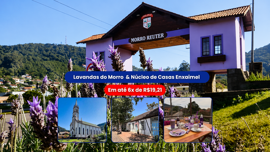 Lavandas do Morro Reuter & Núcleo de Casas Enxaimel 16/08