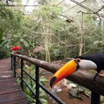 Foz do iguaçu - PR