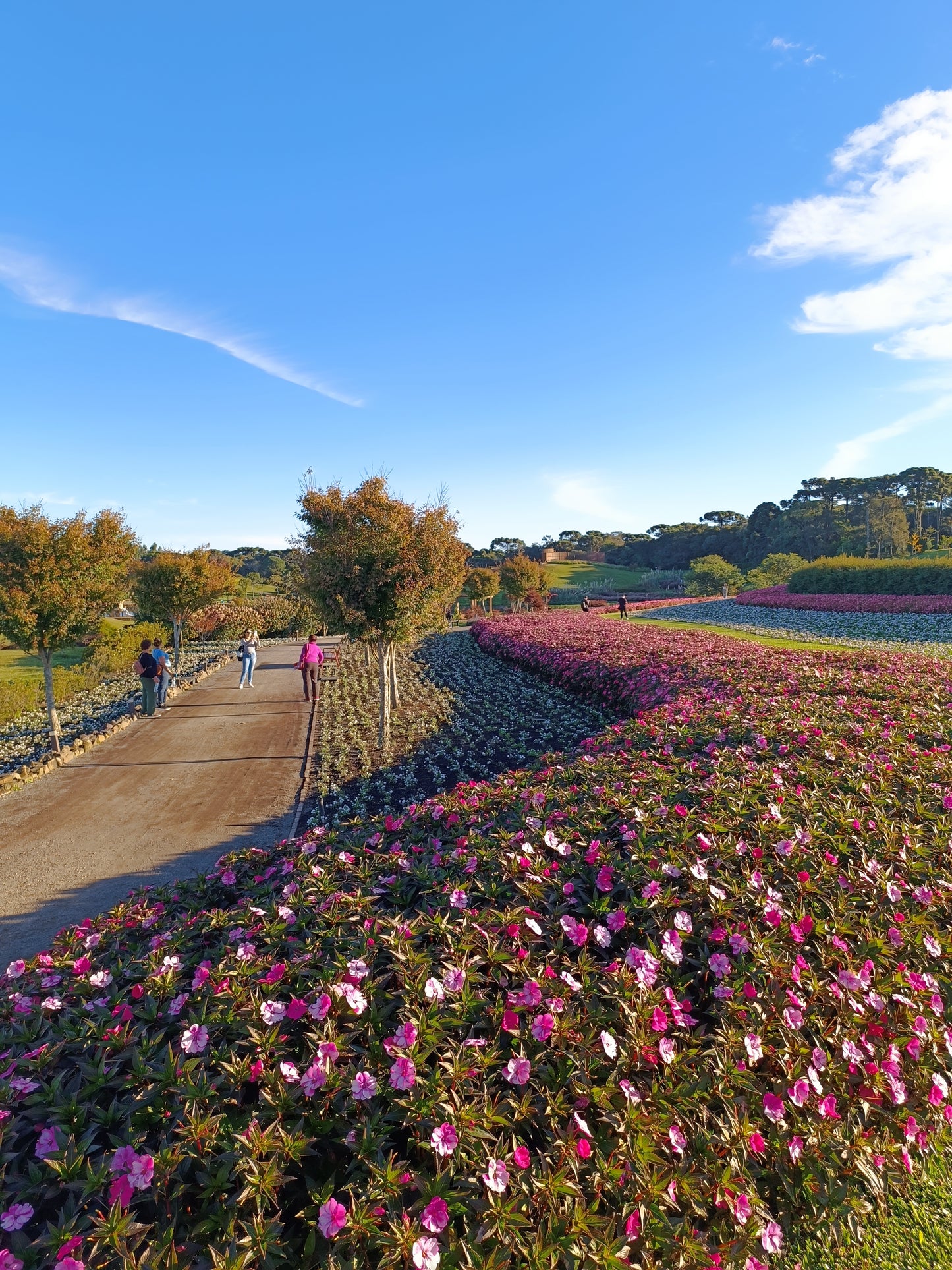Mátria Parque das Flores